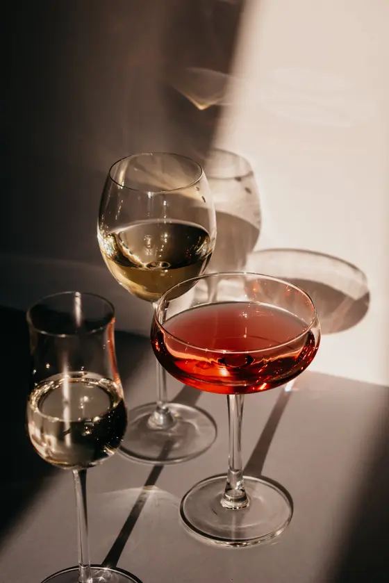 Descubriendo el Arte de la Cata de Vinos: Una Inmersión para Principiantes
